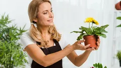 Proč rostliny umírají: 3 nejčastější chyby při výběru stanoviště a jak se jim vyhnout