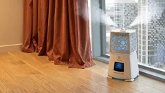 Optimální vlhkost vzduchu v bytě: Jaké hodnoty jsou opravdu důležité